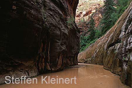 zion np - narrows - national park usa 017